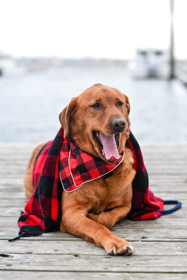 The Bosco Buffalo Plaid Flannel Dog Bandana - Red