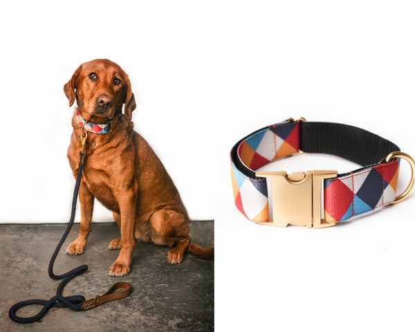 Color Block Collar with Matte Gold Hardware - 1.5 inch buckle