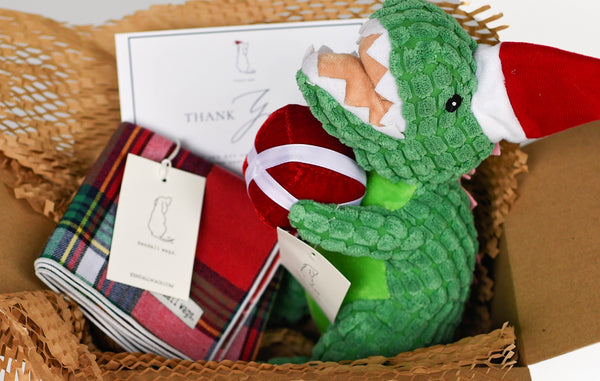 The Holiday Dino Gift Box