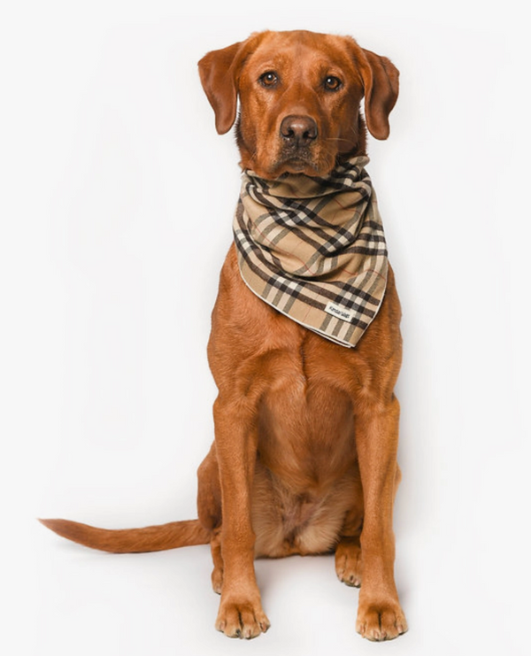 The Alta Tartan Plaid Flannel Dog Bandana - Tan