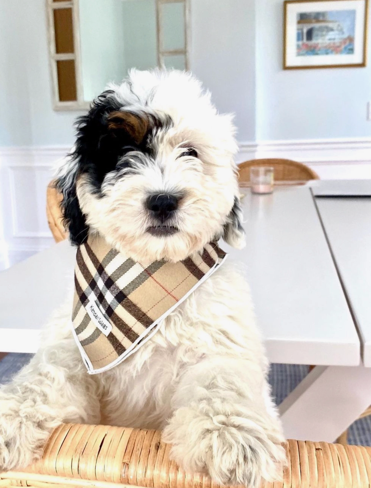 The Alta Tartan Plaid Flannel Dog Bandana - Tan – Kendall Wags
