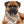 The Alta Tartan Plaid Flannel Dog Bandana - Tan