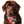 The Tartan Plaid Flannel Dog Bandana - Red