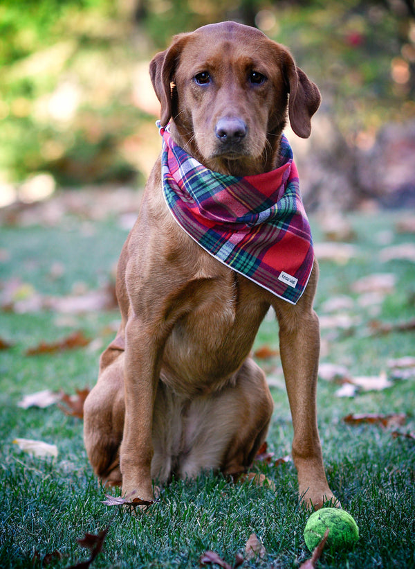 The Tartan Plaid Flannel Dog Bandana - Red