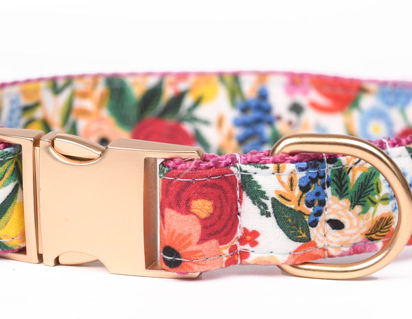 The Pink Poppy 1" Collar with Gold Accents