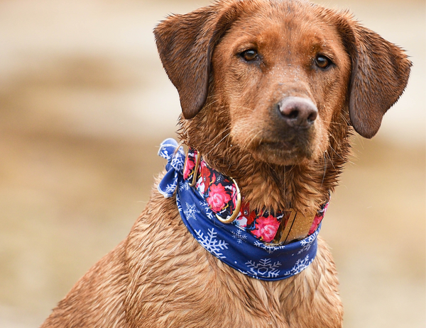 1.5 collar clearance