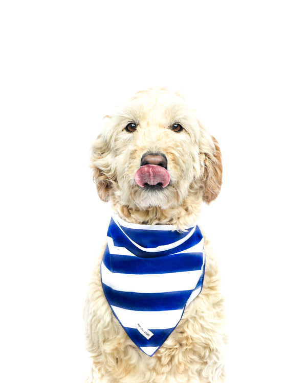 The Jack Nautical Stripe Dog Bandana